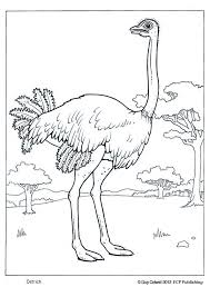 Ostrich Picture Ostrich Image Animal Coloring Pages Coloring Pages Animal Templates