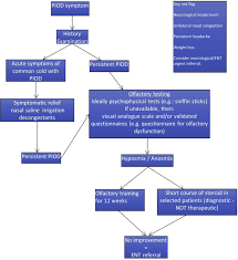 Image result for Olfactory Training