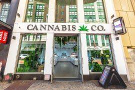 Image result for Perotis patens