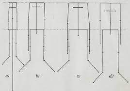 body proportions wikipedia