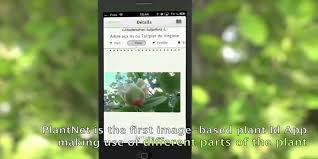 The app can almost instantly identify a plant, flower, or. Plantnet Pflanzenbestimmung App Fur Android Ios
