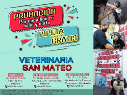 Veterinaria San Mateo (Carabayllo - Sede km 22)