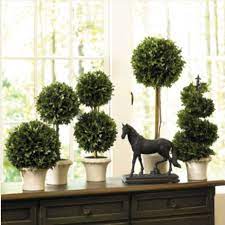 Pair with fresh whites to make the color pop, or place two outside to showcase the front door. Indoor Gardener Topiaries Help Rooms Shape Up
