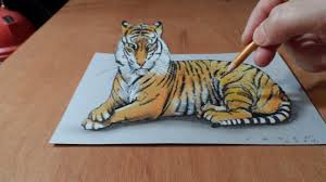 Trick Art Watch My Draw A 3d Tiger Time Lapse Illusion Drawings 3d Drawings Tiger Drawing