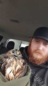 Sake is stronger than beer