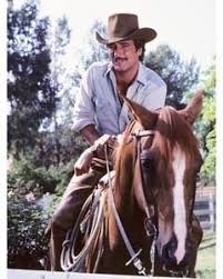 When it comes to horsleys relationship status, he has been married to stephanie downer since 1980, and the couple has two children together, a daughter named amber and a son named logan it seems as if the family lives a happy and prosperous life together. Horsley Lee Matt Houston 25030 8x10 Photo Lee Horsley Handsome Actors Movie Stars