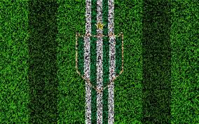 Graphic design elements (ai, eps, svg, pdf,png ). Download Wallpapers Ca Banfield 4k Football Lawn Logo Argentinian Football Club Grass Texture White Green Lines Superliga Banfield Argentina Football Argentine Primera Division Superleague Banfield Fc For Desktop Free Pictures For Desktop