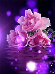 Pin On Moving Videos