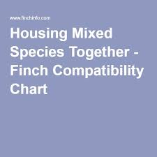 Housing Mixed Species Together Finch Compatibility Chart