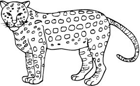 Easy cheetah drawings free image. Cheetah Drawing For Kids At Paintingvalley Com Explore Collection Of Cheetah Drawing For Kids