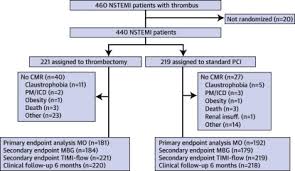 A myocardial infarction is the medical term for a heart attack. Effect Of Aspiration Thrombectomy On Microvascular Obstruction In Nstemi Patients The Tatort Nstemi Trial Sciencedirect