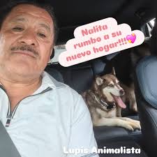 Lupis Animalista
