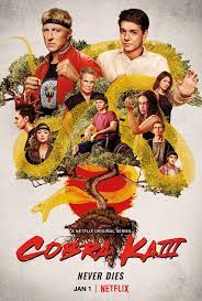 All 3 seasons of #cobrakai are now streaming on @netflix netflix.com/cobrakai. Cobra Kai Tv Series 2018 Imdb