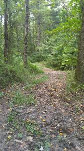 Whether you live in the area, or are just passing through the crossroads of america, we welcome you to come camp, hike, fish and explore the great indiana outdoors. Greene Sullivan State Forest Fragoutdoors