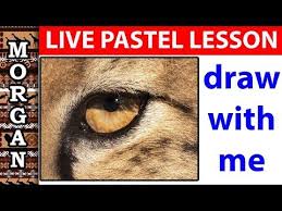 Pastels Pencils Live Draw Along Lesson Youtube Pastel Pencils Pastel Pastel Art Pastel drawing with pastel pencils + pan pastel jason morgan wildlife art.