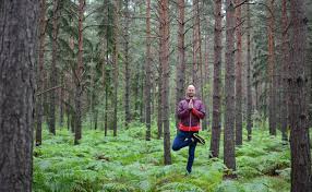 Check spelling or type a new query. Tree Pose Yoga Vrksasana Yogateket