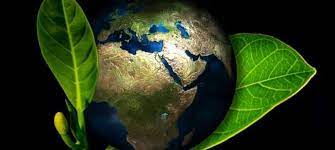 Dia internacional del medio ambiente cuida el agua. Dia Mundial Del Medio Ambiente 5 De Junio 2021 Erenovable Com