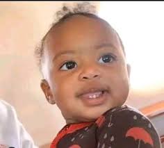 Me wey carry you go ShopRite dey use hand pick wetin i wan buy. You go  carry basket.