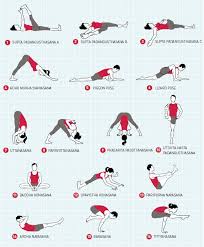 Peak Pose Sequence Tittibhasana Firefly Pose Jason Crandell Vinyasa Yoga Method Yoga Sequences Iyengar Yoga Vinyasa Yoga