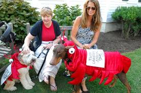 Historical Museum Hosts 'Yappy Hour'