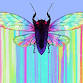 Cicada Open Mic