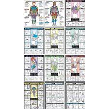 Workout Charts Sada Margarethaydon Com
