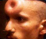 Ripley's Believe It Or Not, season 4