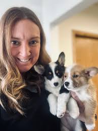 Stillwater Veterinary...