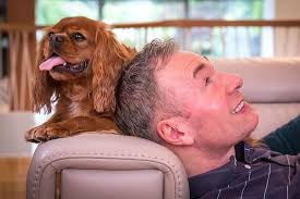 Max Wolfe Novels (3 book series) Kindle Edition