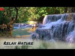 الطبيعة الساحرة منظر طبيعي عالي الدقة لشلال وسط غابة ساحرة Youtube Youtube Outdoor Waterfall