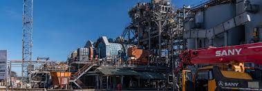 Image result for Empogona cacondensis