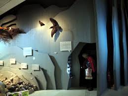 The main topic of the exhibition in berchtesgaden is the highest vertical of the eastern alps. Die Kunstliche Hohle Im Haus Der Berge In Berchtesgaden