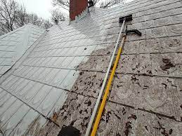 Start with a 50/50 mix for most asphalt shingle roofs, this will insure your chemical is hot enough to actually get a result you would be happy with. How To Clean A Metal Roof In Nine Steps