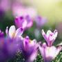 Profile Picture of Obituary information for Winifred H. Wilson - Trainor Funeral Home (@trainorfuneralhome.com) on Google