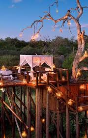 Page Not Found Lion Sands Game Reserve South Africa Travel Travel Around The World Africa Travel