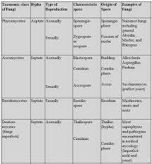 biology biological classification revision notes for neet