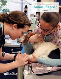 BRCC Annual Report 2014-15 by Blue Ridge Community College