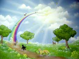 Maybe you would like to learn more about one of these? A Poem Of The Rainbow Bridge Will Help You In Your Time Of Grief