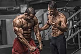 Maybe you would like to learn more about one of these? Testolon E Rad 140 Sarms Fatburners At