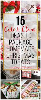 15 Cute Clever Ways To Package Christmas Treats Unoriginal Mom Christmas Cookies Packaging Diy Christmas Treats Christmas Cookies Gift