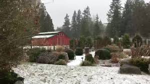 Zip code lookup service including geographic and demographic statistics and maps northwest college of art www.nca.edu. Farm Kitchen 1 064 Photos Performance Event Venue 24309 Port Gamble Rd Ne Poulsbo Wa 98370