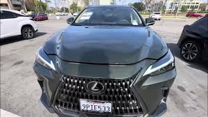 Image result for Nori Green 2025 LZ