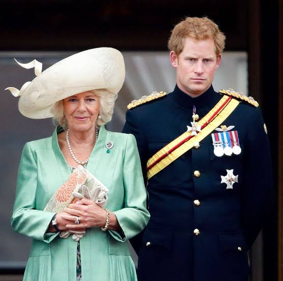This Royal Is a “Non-Negotiable” in Prince Harry's Reconciliation With King  Charles