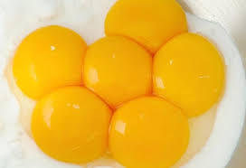 Image result for egg yolk