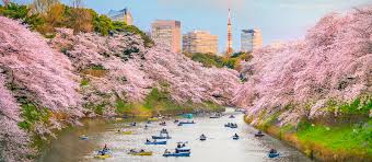 We did not find results for: Tokyo Private Tours Japan Vacations Enchanting Travels