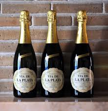 Via De La Plata Champagne Bottle Champagne Wine Bottle