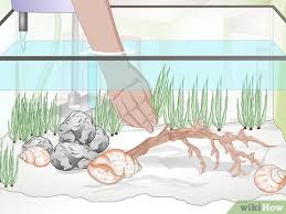 I'd like to make some decorations for one of my tanks if i can afford it, but i don't know where to begin! 11 Ways To Decorate A Fish Tank Wikihow