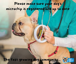 Please ensure your pets are microchipped!