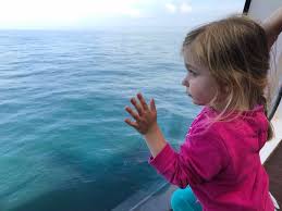 Brittany Ferries News