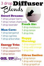 Like your house to smell fabulous; 3 Drop Essential Oil Diffuser Blends To Try Mommy Moment